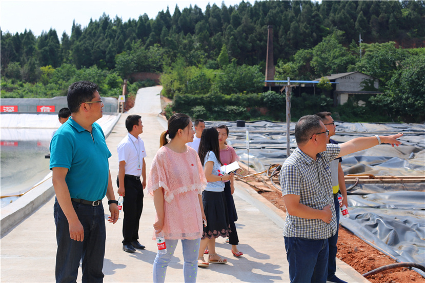 集團(tuán)第一檢查組檢查杰陽排水公司、固廢處置公司安全防汛和環(huán)保達(dá)標(biāo)各項(xiàng)工作3_副本